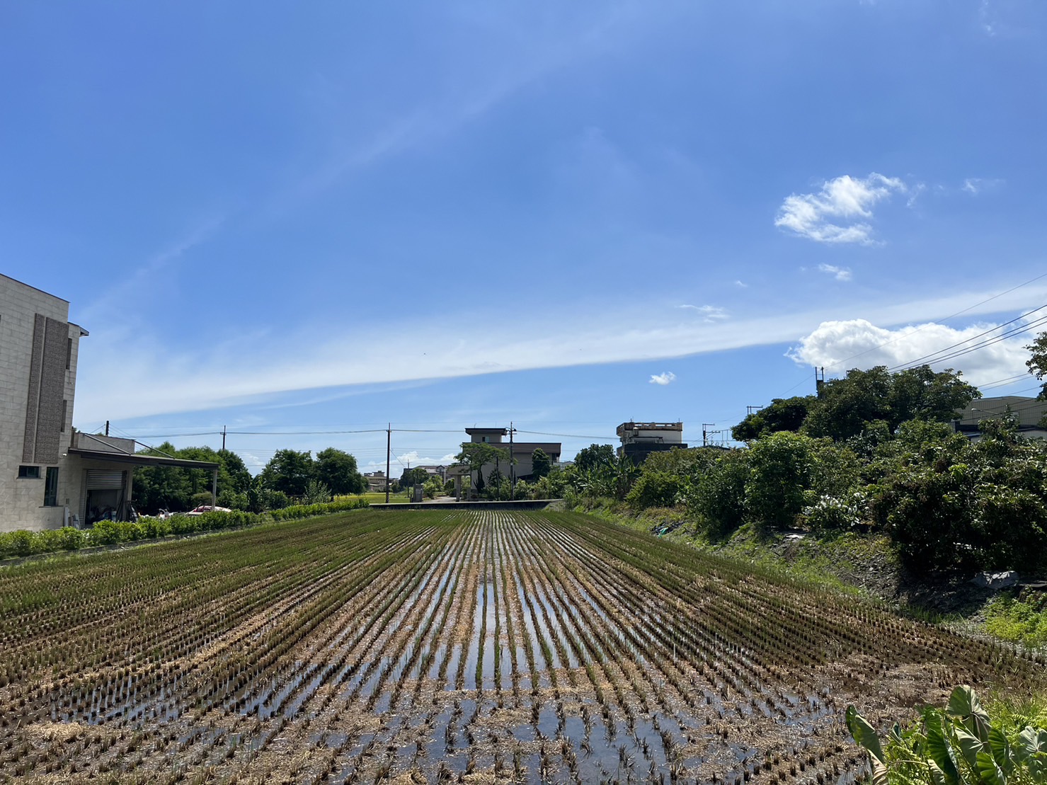 D227柯林方正雙面路農地/正大路邊/大面寬