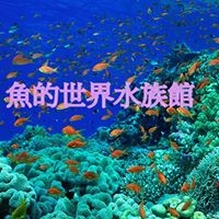魚的世界水族館-undefined