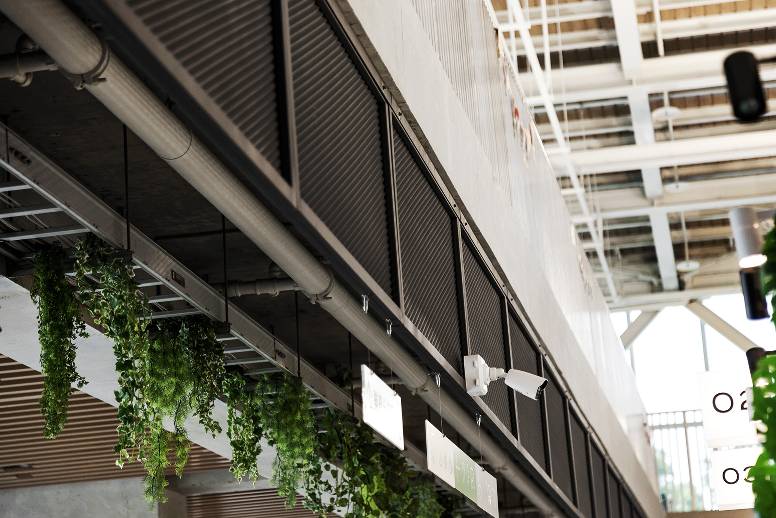 久恩擴張網裝飾