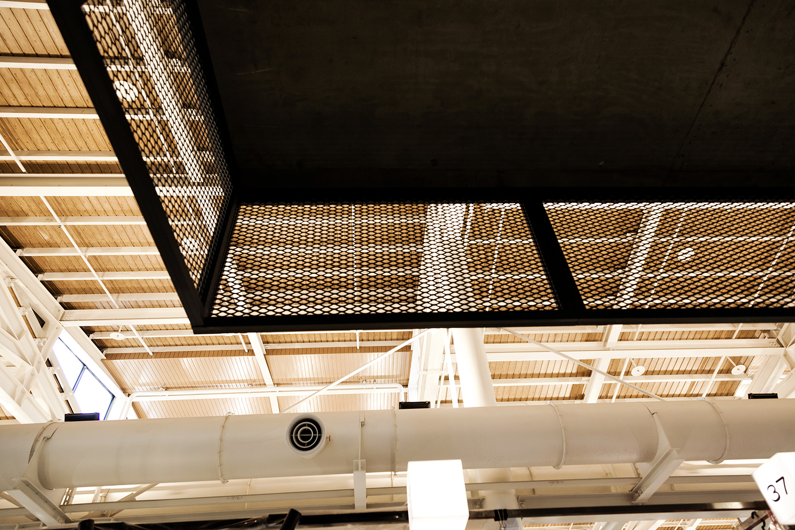 久恩擴張網裝飾