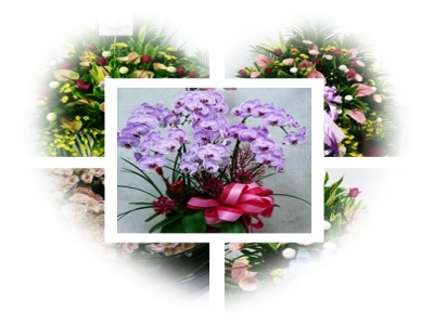 外埔大甲花店(服務后里、外埔、大甲)-undefined