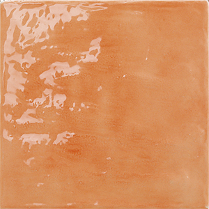 心晴彩磚-2006橘