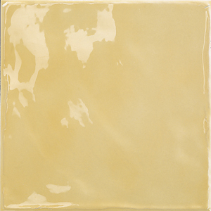 心晴彩磚-2009黃