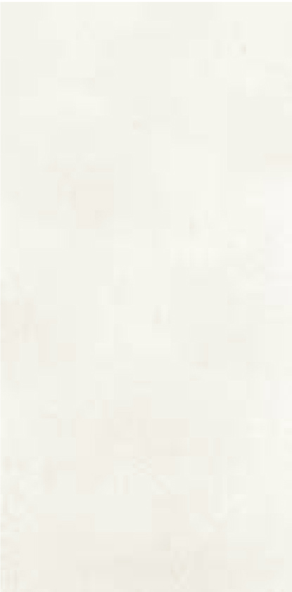 布達佩斯-珍珠白