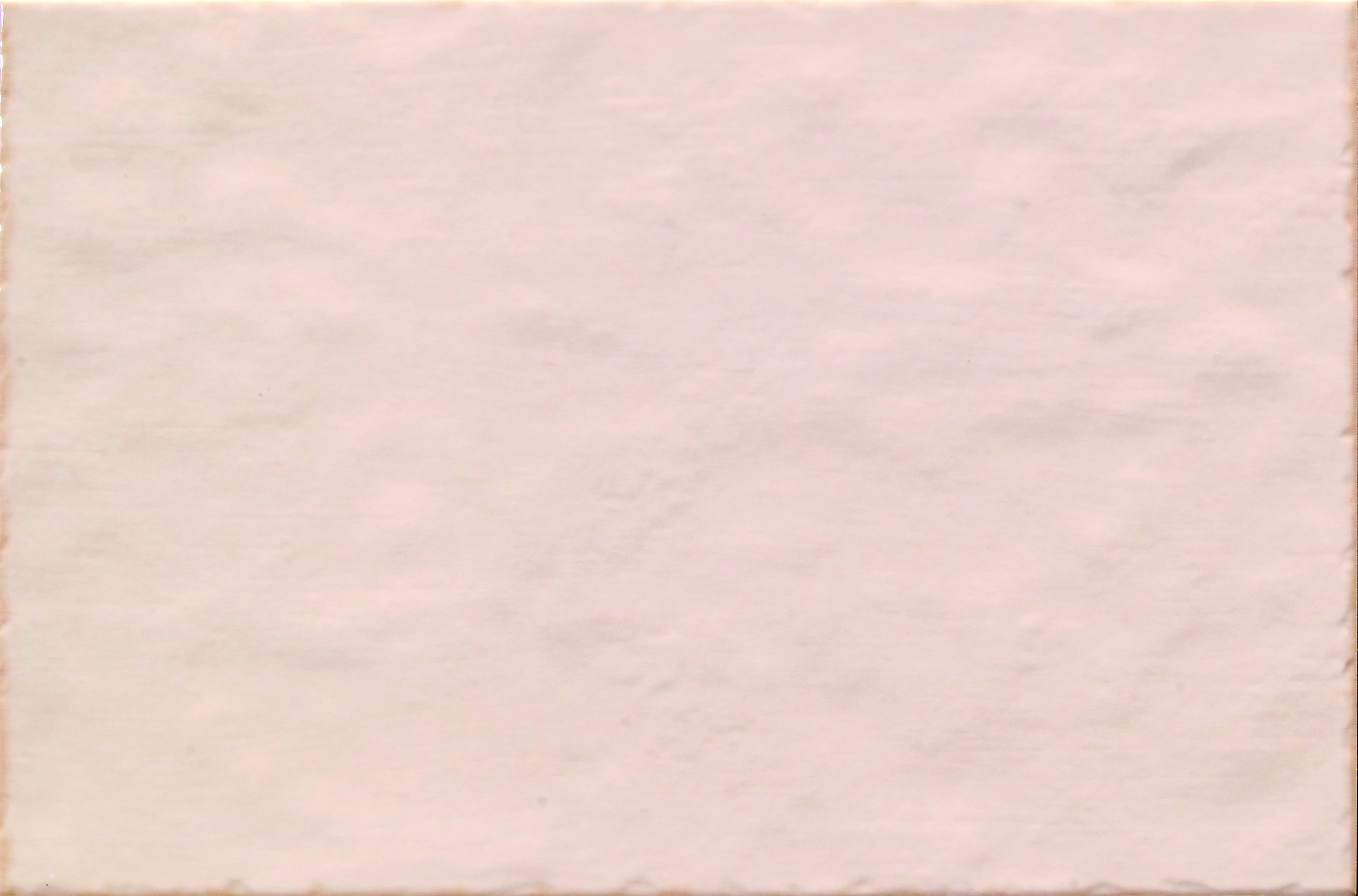 愛蜜莉異想-淡橘