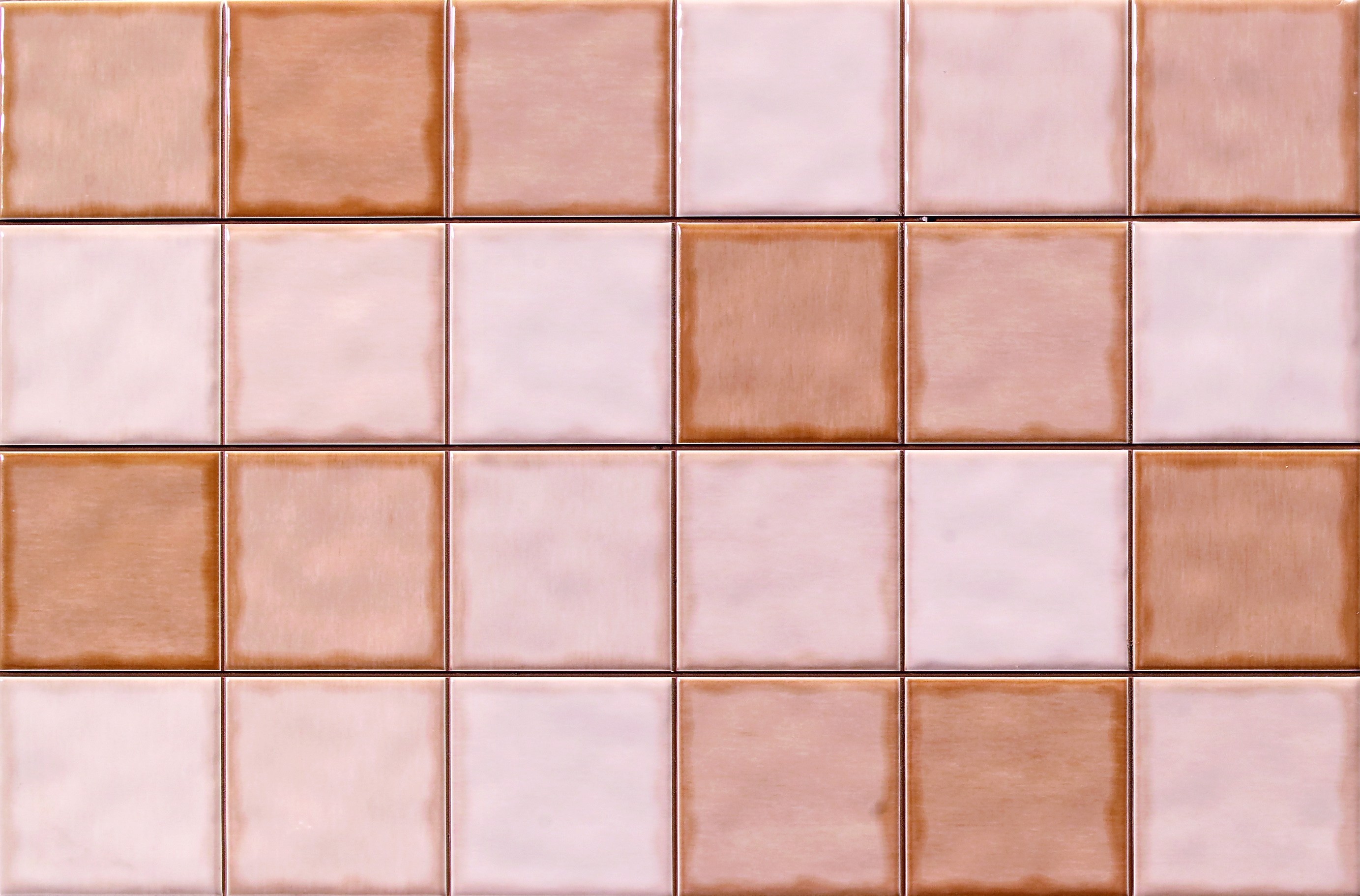 愛蜜莉異想-馬賽克橘