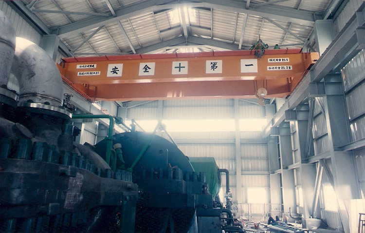 25噸雙軌架空式電動吊車