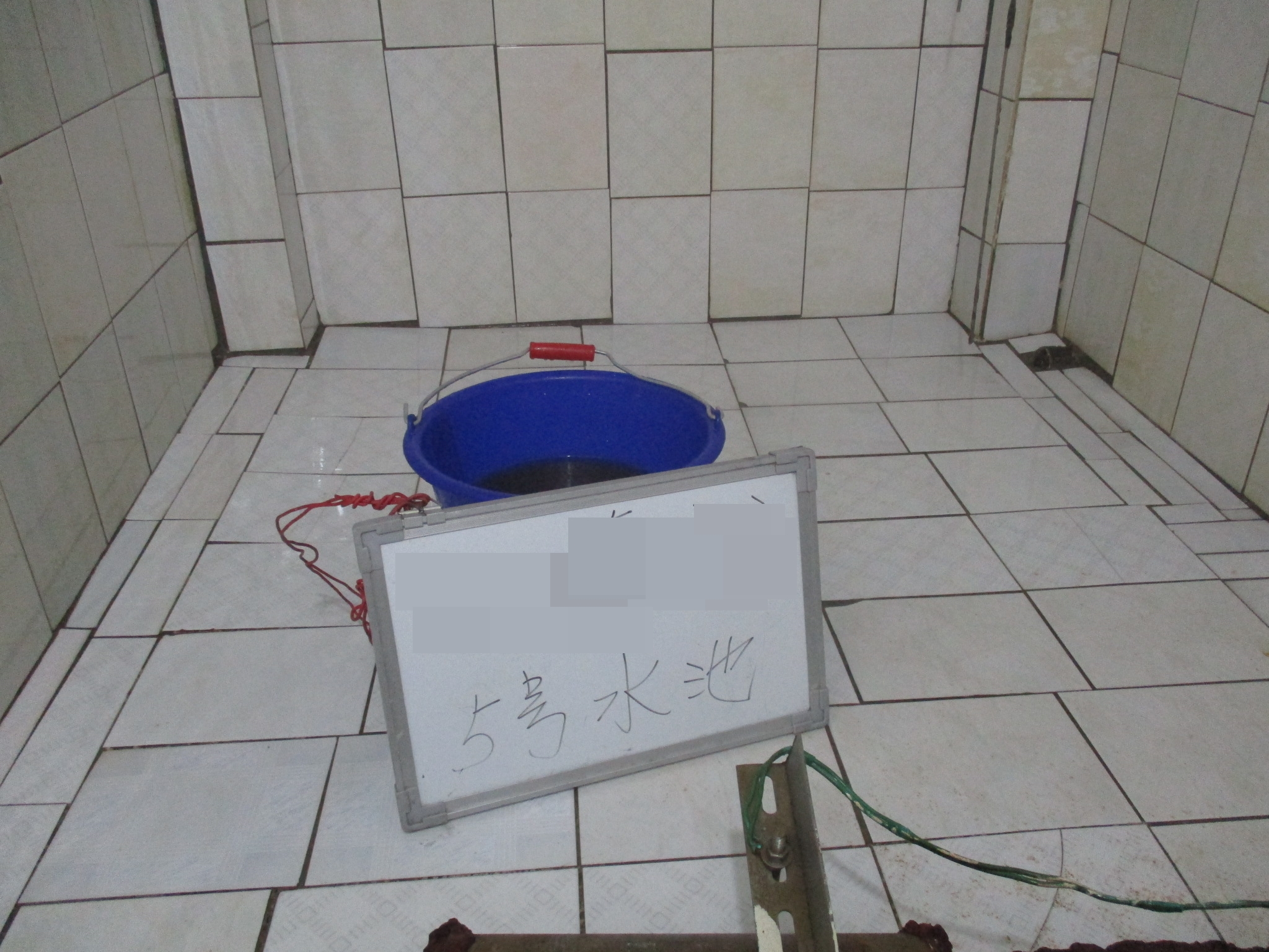 水池清潔工程前後照