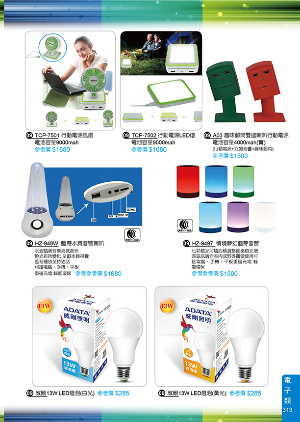 電子類09-313