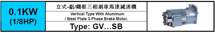 GV-SB-0.1KW(1/8HP)