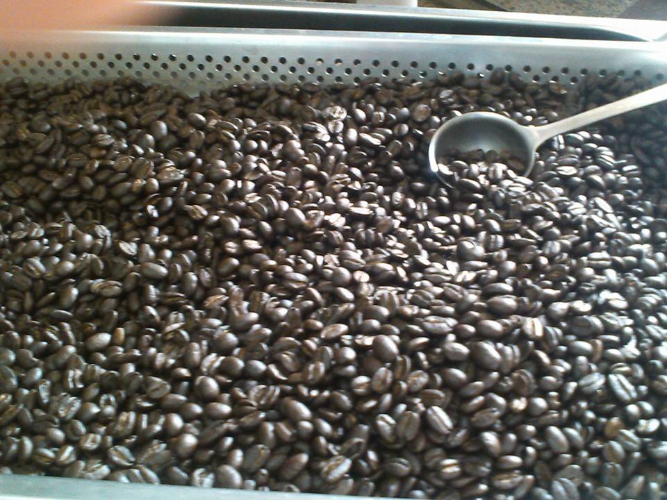 復活的粉絲專業之剛炒好的咖啡豆，超讚的呦！！4