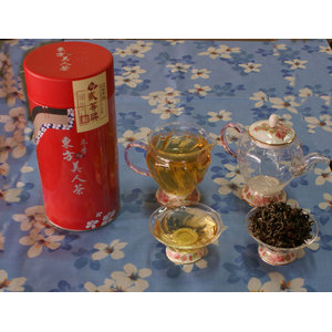 冬季東方美人茶