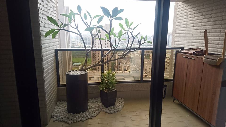 公寓陽台造景