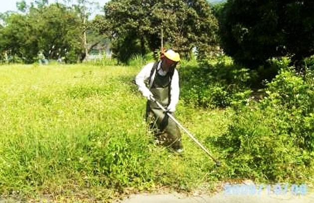 花木修整除草