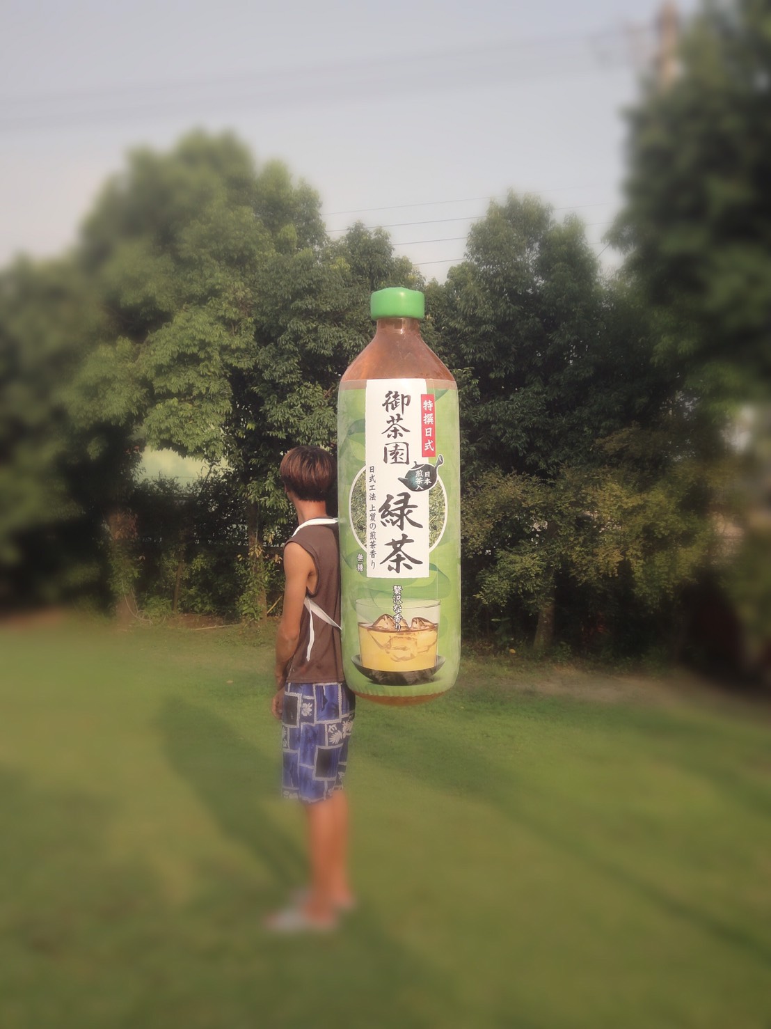 背負式-御茶園綠茶