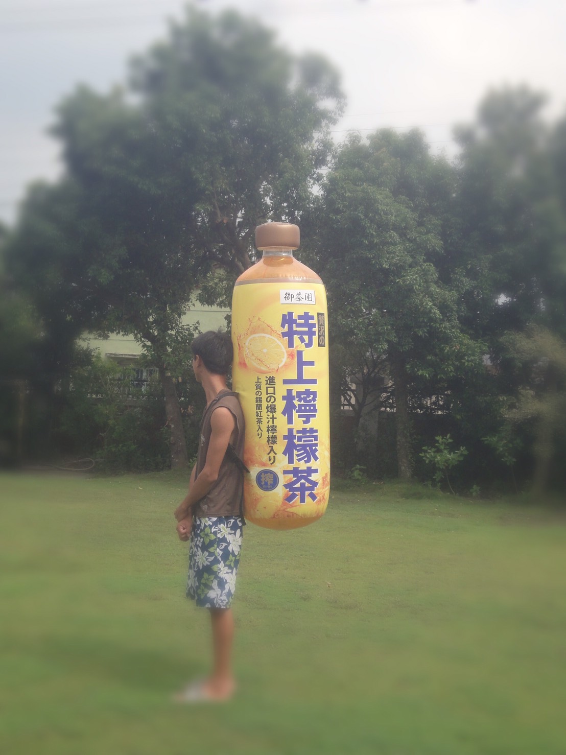 背負式-特上檸檬茶