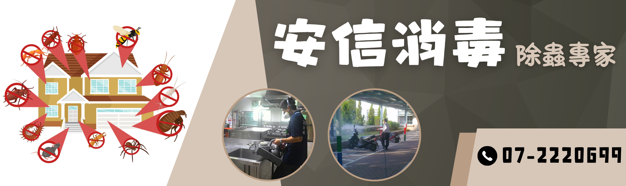 安信消毒 ➢ 除蟲專家-蟲害防治