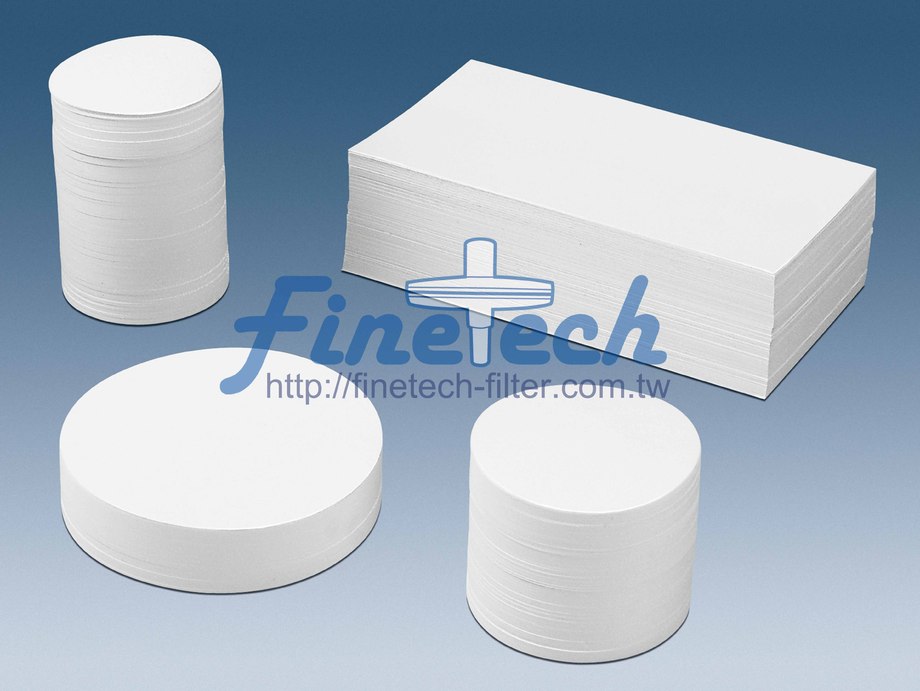 轉漬濾紙-Blotting