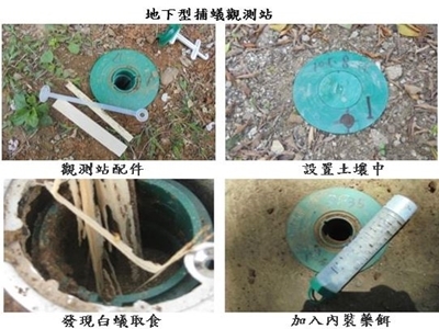 家倍潔有限公司-蟲害防治