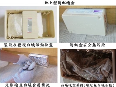 家倍潔有限公司-蟲害防治