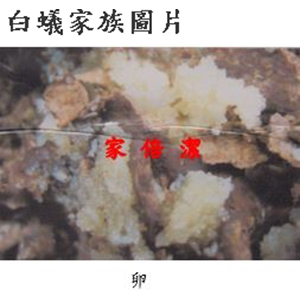 家倍潔有限公司