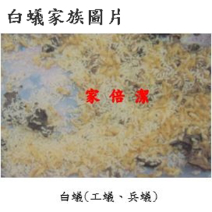 家倍潔有限公司