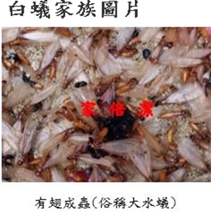 家倍潔有限公司