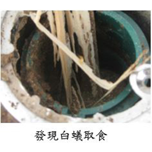 家倍潔有限公司