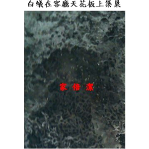 家倍潔有限公司