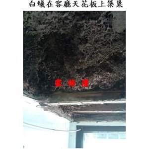 家倍潔有限公司