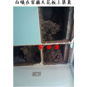 家倍潔有限公司