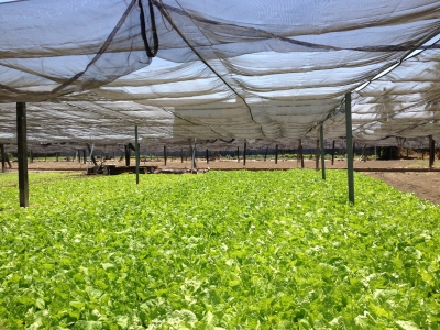 康布永有限公司-營建工程