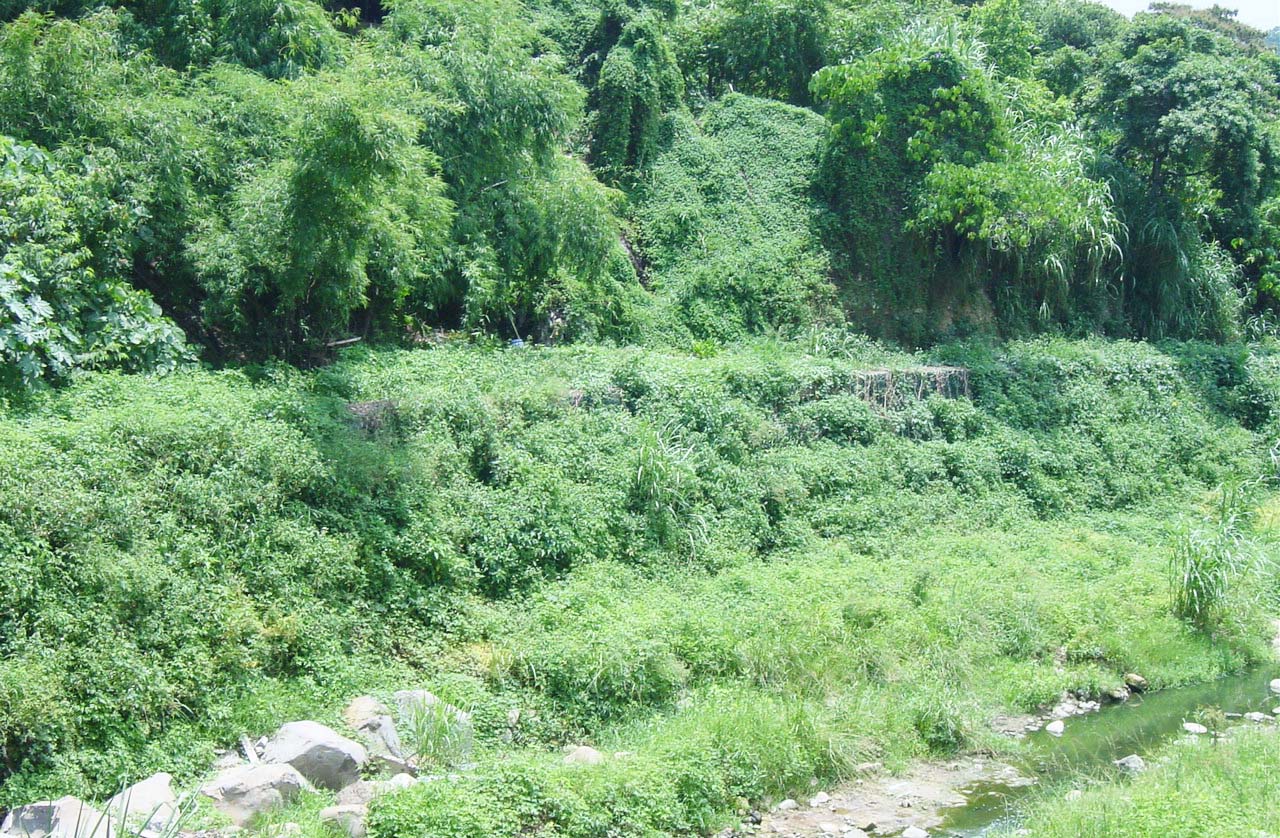 土石籠袋實蹟02