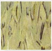 電梯地磚樣式-地磚選樣