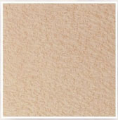 電梯壁板及門板-木紋系列