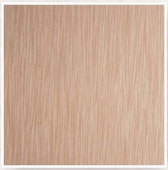 電梯壁板及門板-木紋系列