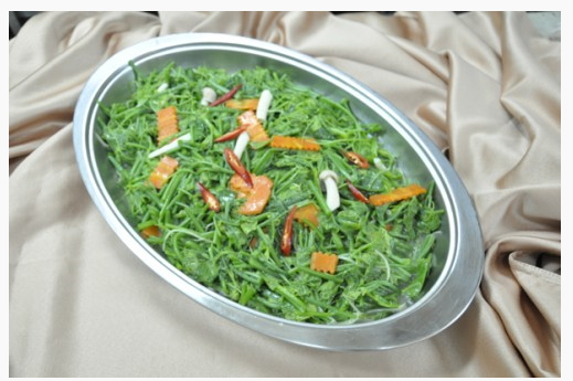 樹子扒龍鬚菜H8