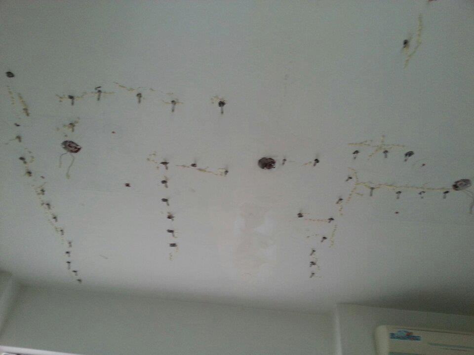 南科宿舍天花板實施高壓灌注