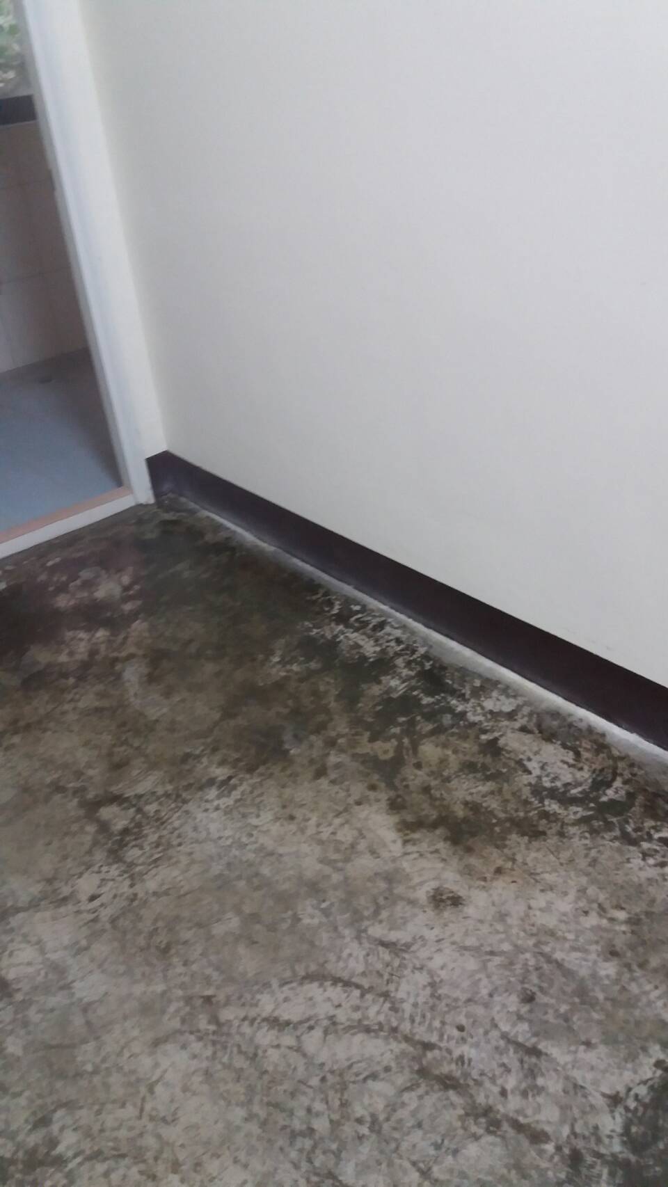 材料製造商EPOXY