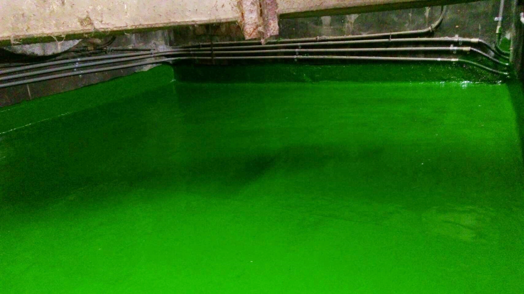 紡織業～新市廠走廊