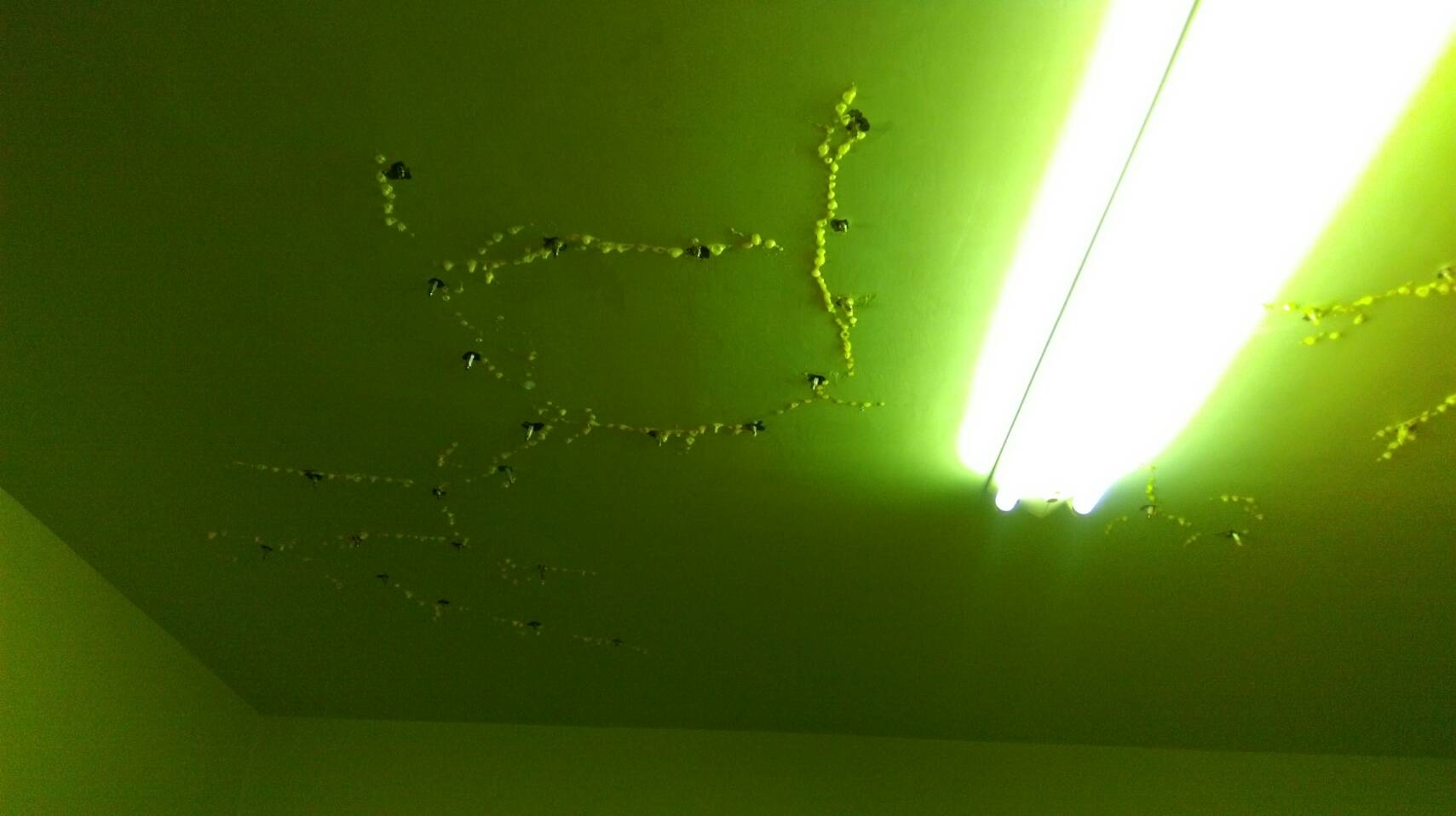 歸仁～文化十街防漏灌注抓漏