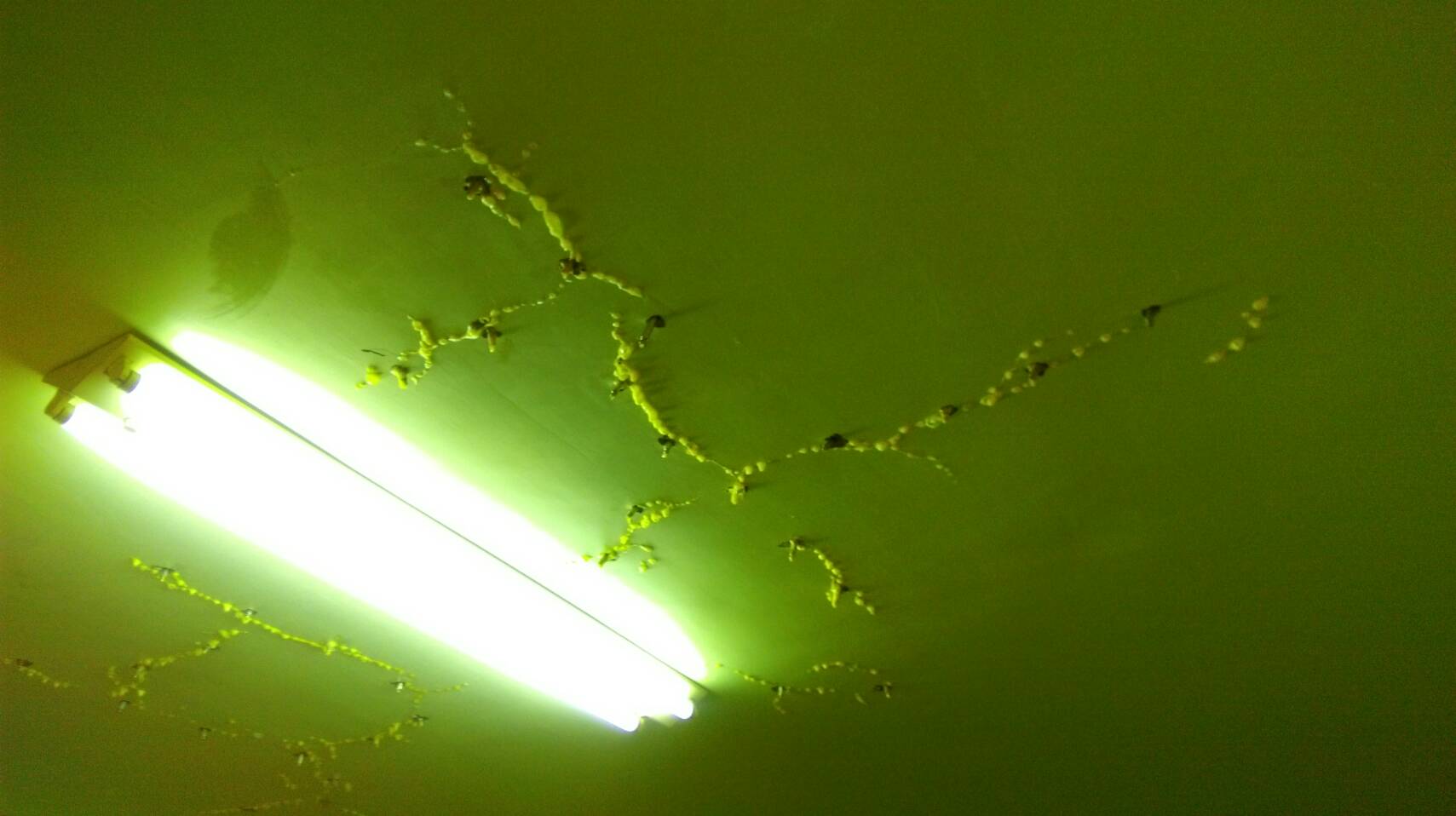 歸仁～文化十街防漏灌注抓漏