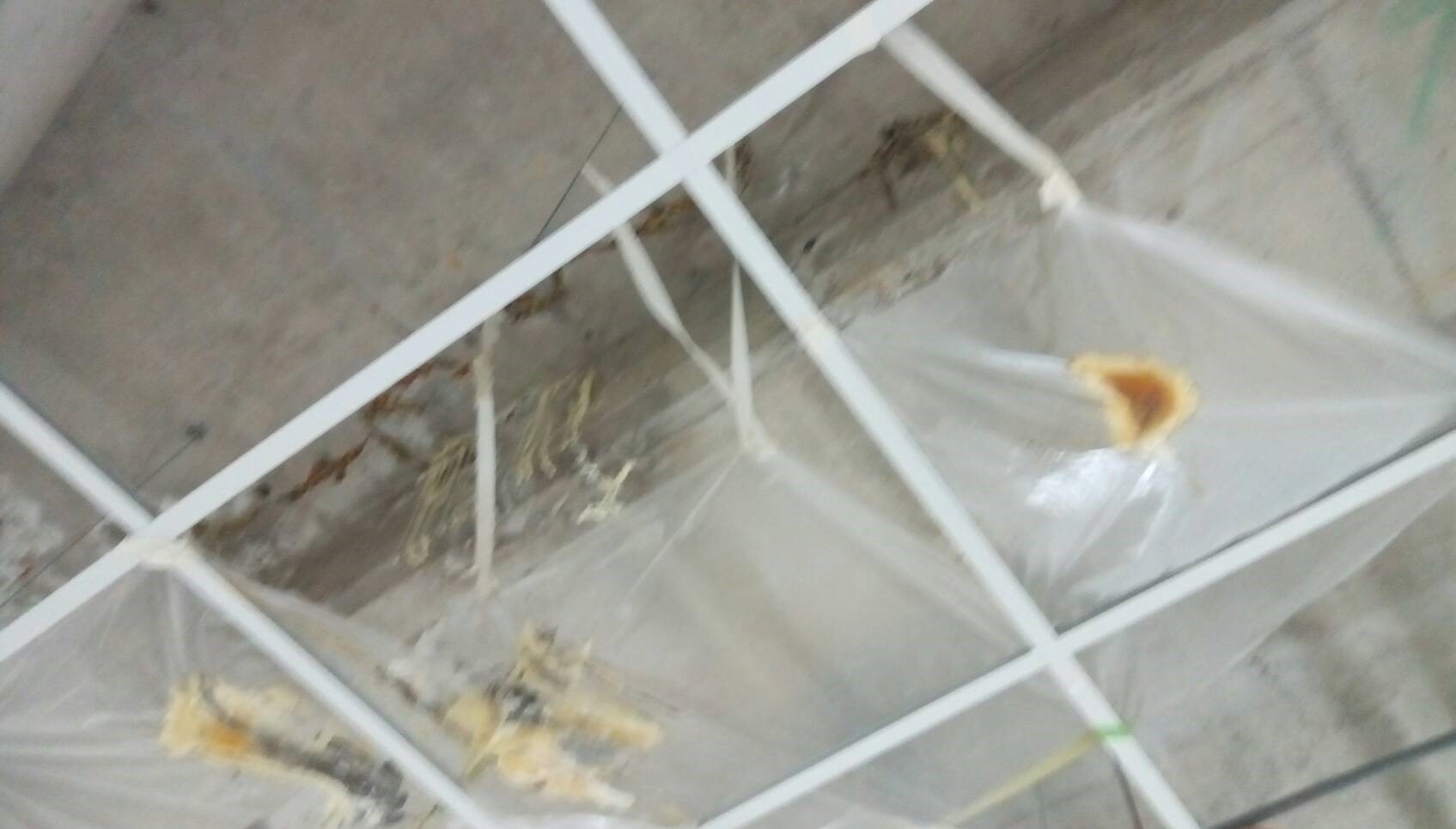 社區公寓～防漏灌注抓漏兩處