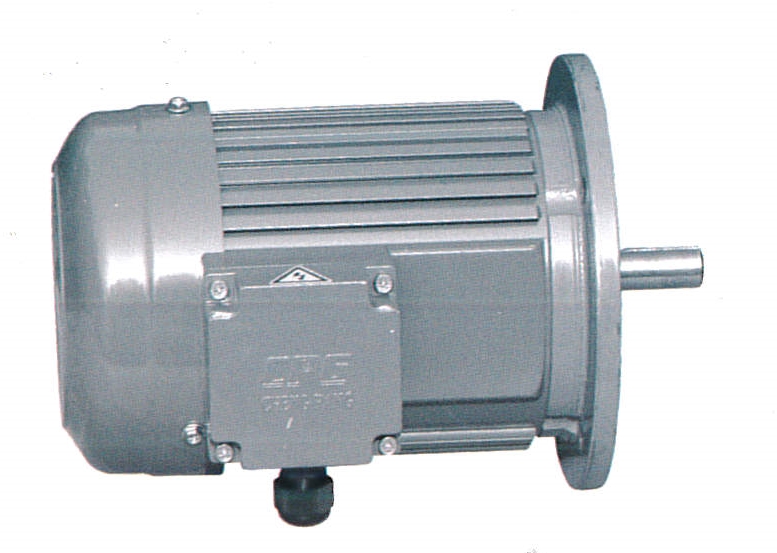 立式標準IEC三項鋁殼(剎車)馬達