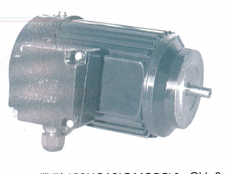 立式三項鋁殼(剎車)馬達-B14