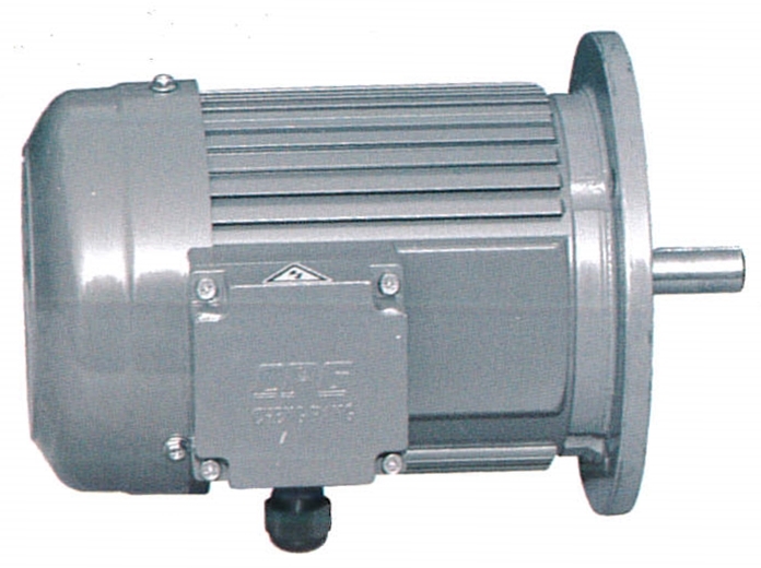 標準IEC三相馬達立式