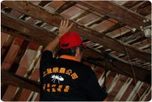 三合院木樑白蟻防治工程