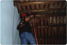 三合院木樑白蟻防治工程