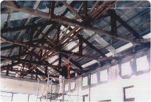 古蹟木樑白蟻防治工程