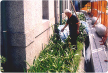 古蹟四周土壤白蟻防治工程